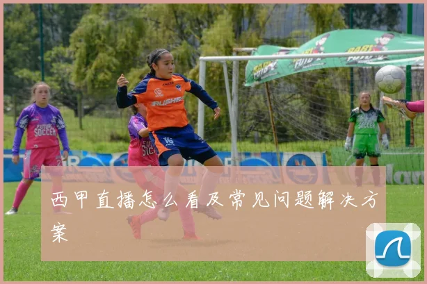 西甲直播怎么看及常见问题解决方案