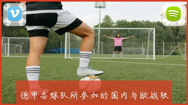 德甲各球队所参加的国内与欧战联赛情况